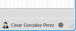 Analyst name on main window